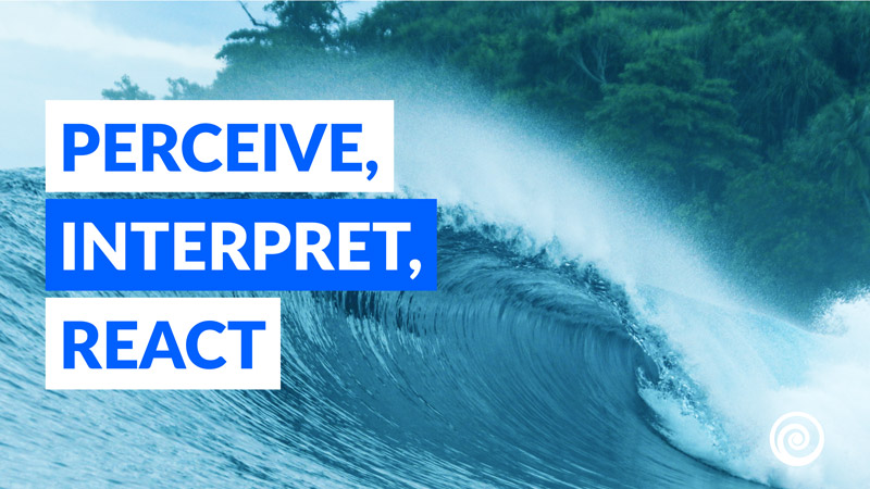 surfstrengthcoach-blog-como-leer-olas-percibir-interpretar-reaccionar